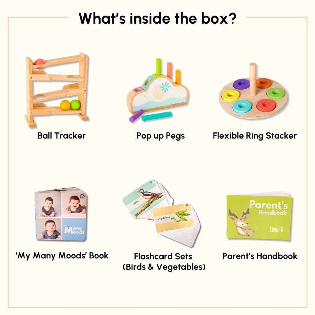 Curious Cub Montessori Wooden Toys for 1 Year Old Baby