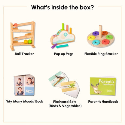 Curious Cub Montessori Wooden Toys for 1 Year Old Baby
