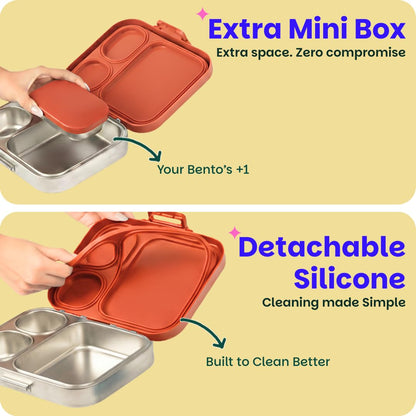 Basil Bento Box Quad Plus 3+1 Compartment Stainless Steel Lunch Box | Jaipuri Jaali