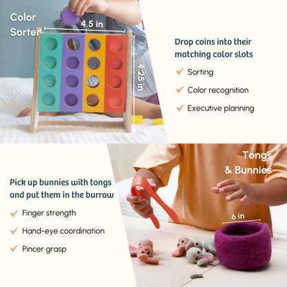 Curious Cub Montessori Learning Wooden Baby Toys | Box 11: 24+ Months| Montessori Toys for 2 Year Old|Child Development & Problem Solving Baby|Fine Motor Recognition Skills | Birthday Gift Boy Girl