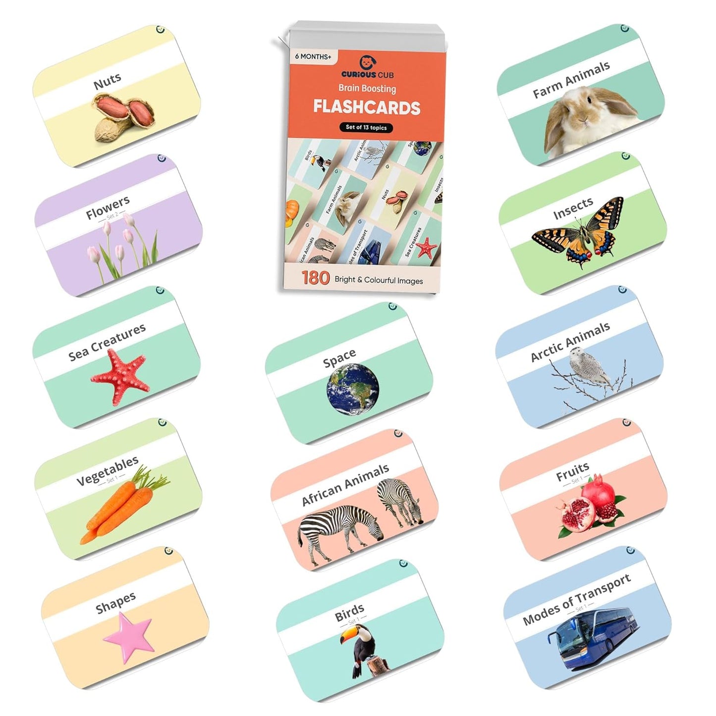 Curious Cub 13 in 1 Brain Boosting Flash Cards for Babies & Infants | Flash Cards for 1 Year Old to 3 yrs |Set of 180 Extra Large Flashcards for Visual Stimulation & Early Brain Development