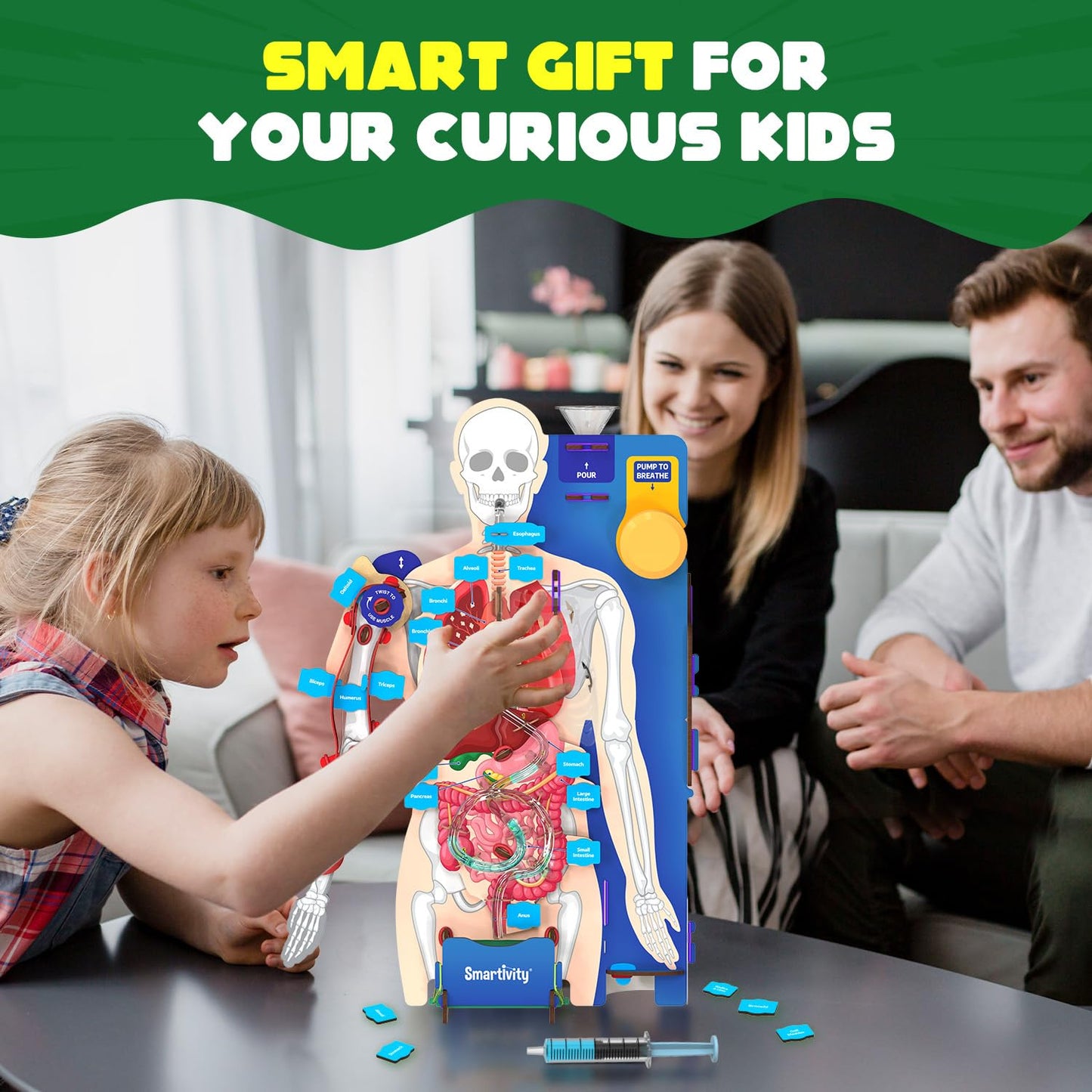 martivity Interactive Human Body Model for Kids 8-14 Years I Dynamic Body Parts & Organs + Learning Booklet | Birthday Gift for Boys & Girls(PACK OF 6)