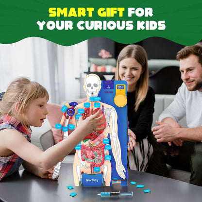 martivity Interactive Human Body Model for Kids 8-14 Years I Dynamic Body Parts & Organs + Learning Booklet | Birthday Gift for Boys & Girls(PACK OF 6)