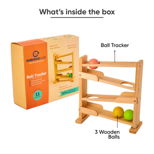 Curious Cub Montessori Wooden Toys for 1 Year Old Baby, Box 6 | 11+ months, shape sorter, sensory & fine motor skills, 1st birthday gift boy girl