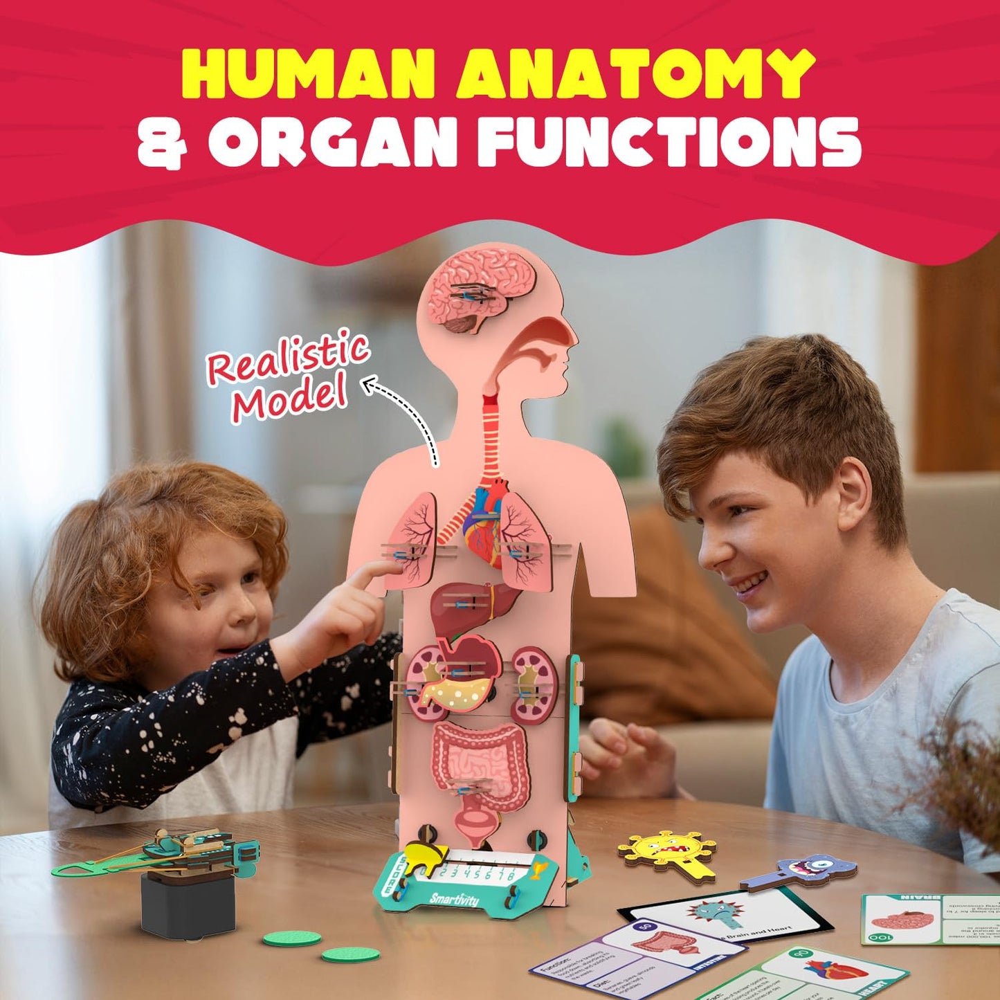 Smartivity Human Body Toy for Kids 6-12 Years|Body Organs & Functions|Birthday Gifts for Unisex|DIY Science Toys 6,7,8,9,10,11,12,13,14 Years Old I STEM Building Set Wooden Construction Game,79 Pcs(PACK OF 6)