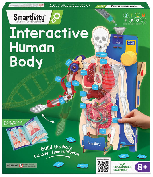 martivity Interactive Human Body Model for Kids 8-14 Years I Dynamic Body Parts & Organs + Learning Booklet | Birthday Gift for Boys & Girls(PACK OF 6)