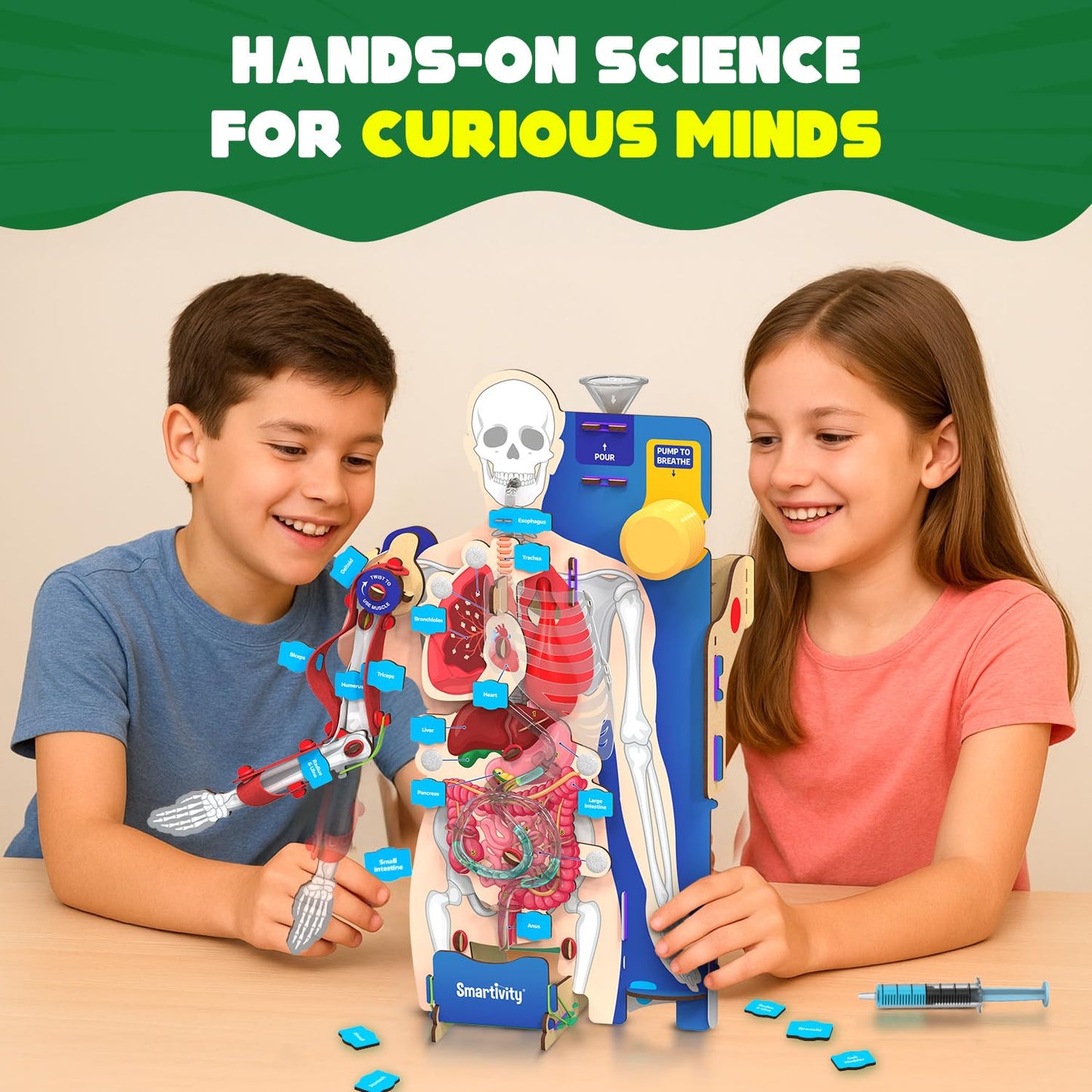 martivity Interactive Human Body Model for Kids 8-14 Years I Dynamic Body Parts & Organs + Learning Booklet | Birthday Gift for Boys & Girls(PACK OF 6)