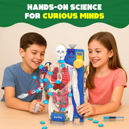 martivity Interactive Human Body Model for Kids 8-14 Years I Dynamic Body Parts & Organs + Learning Booklet | Birthday Gift for Boys & Girls(PACK OF 6)