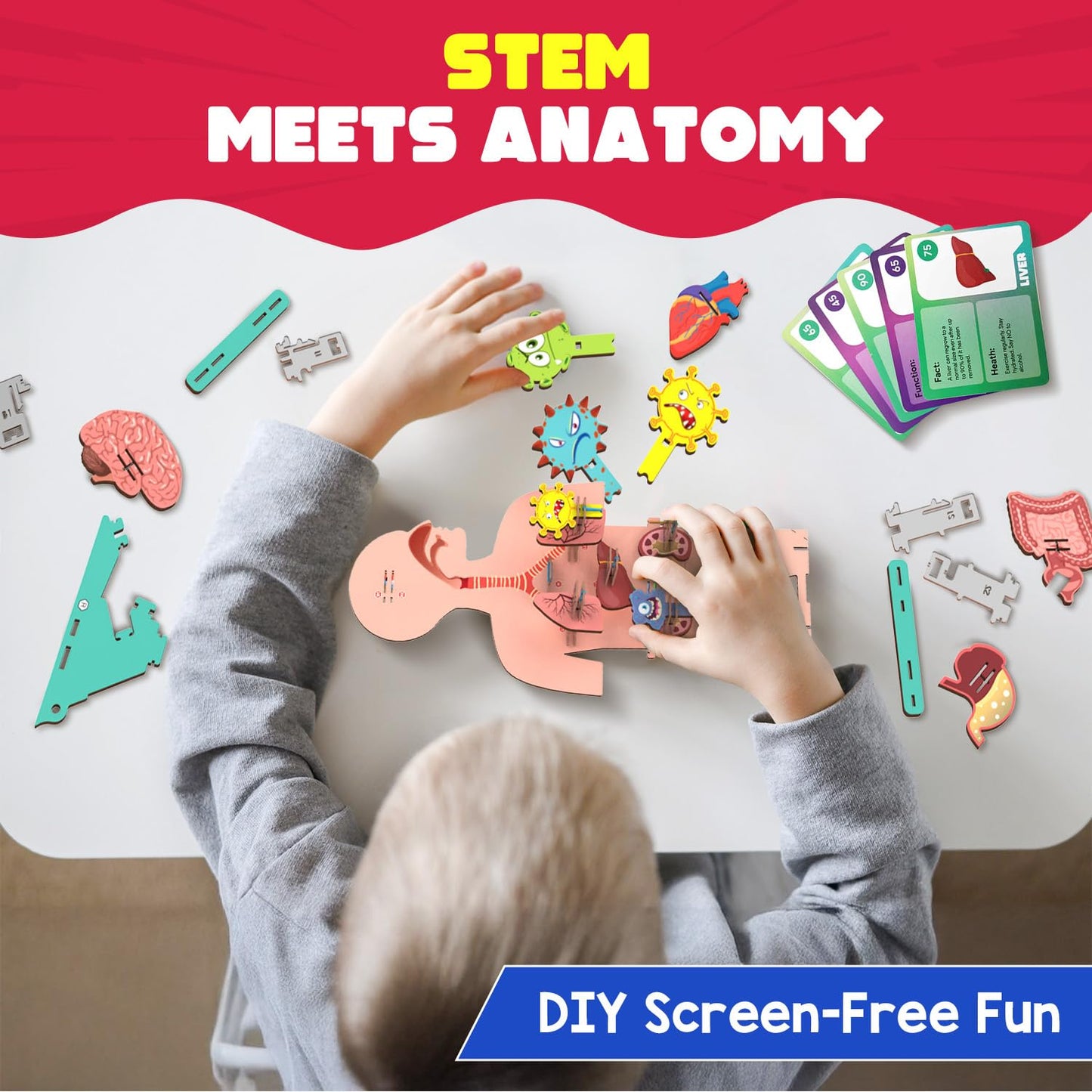 Smartivity Human Body Toy for Kids 6-12 Years|Body Organs & Functions|Birthday Gifts for Unisex|DIY Science Toys 6,7,8,9,10,11,12,13,14 Years Old I STEM Building Set Wooden Construction Game,79 Pcs(PACK OF 6)