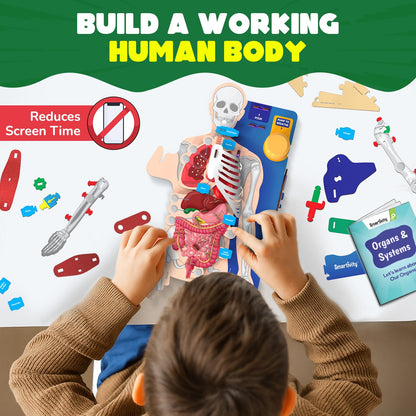 martivity Interactive Human Body Model for Kids 8-14 Years I Dynamic Body Parts & Organs + Learning Booklet | Birthday Gift for Boys & Girls(PACK OF 6)