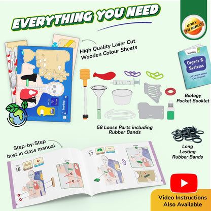 martivity Interactive Human Body Model for Kids 8-14 Years I Dynamic Body Parts & Organs + Learning Booklet | Birthday Gift for Boys & Girls(PACK OF 6)
