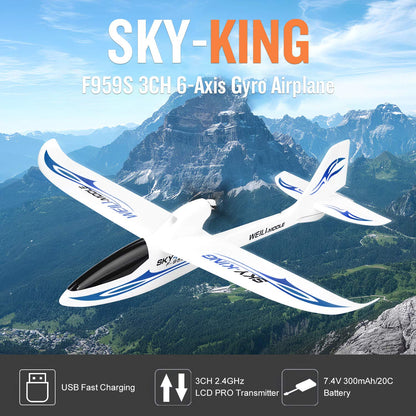 GoolRC 3CH RC Airplane Sky-King RC Plane Fighter Toys,2.4GHz 6-axis Gyro Stabilizer RTF Glider Aircraft Plane,Easy to Fly for Adults Beginners s Blue
