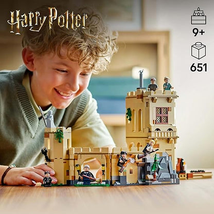 LEGO  Hogwarts Castle: Flying Lessons 76447