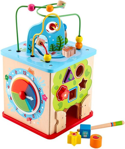 Hape Nature Exploration Play Cube Wooden Activity Toy with Bead Maze & Shape Sorter for Toddlers