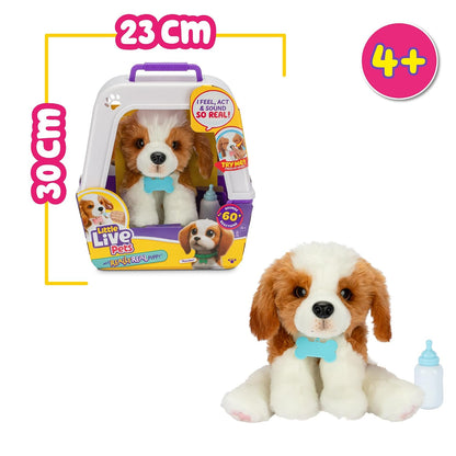 Little Live Pets My Really Real Puppy Pet Toy, 50 Sounds and Reactions, Puppy with Soft Fur and Eyes