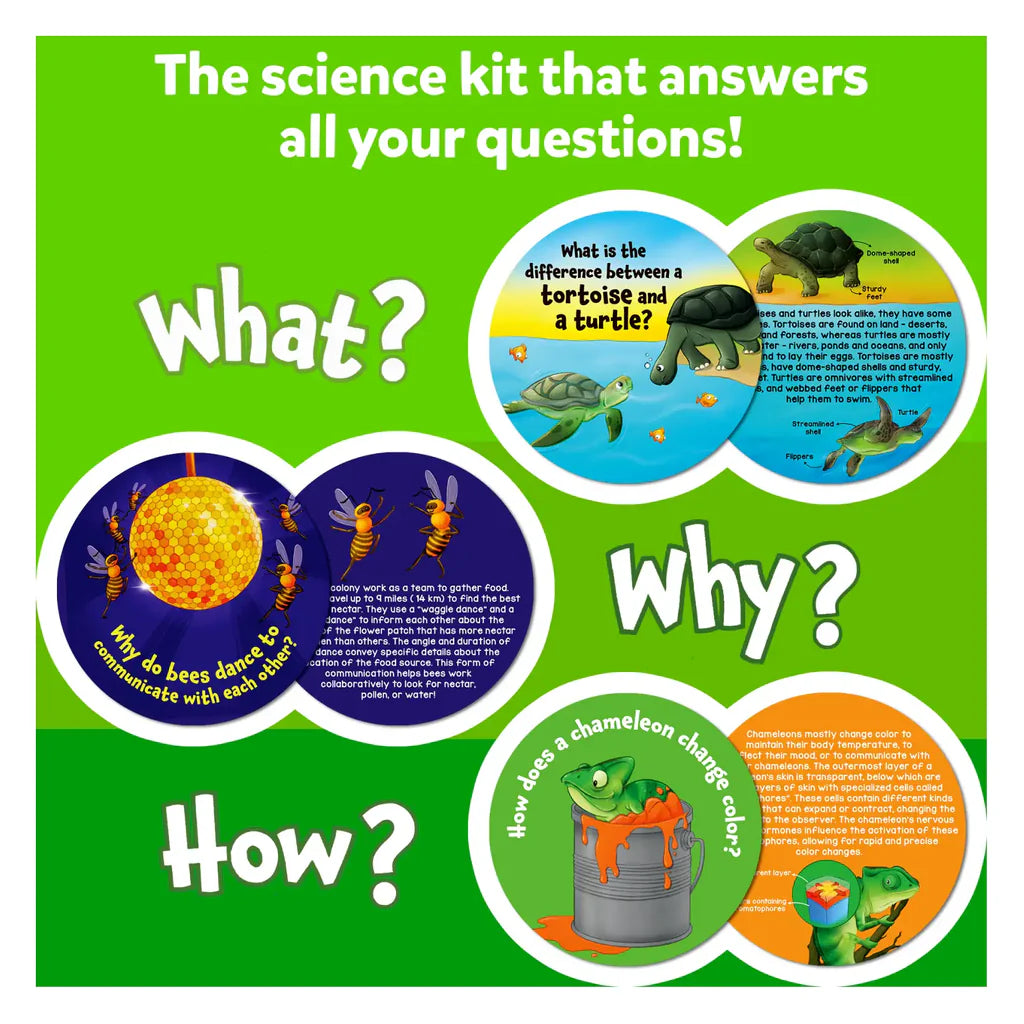 SKILLMATICS Flash Cards Science Snippets Kit | All About Animals (ages 7+)