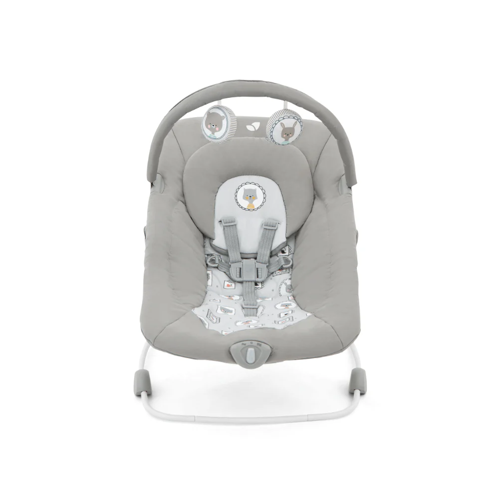 Joie Soother Wish Bouncer - Portrait