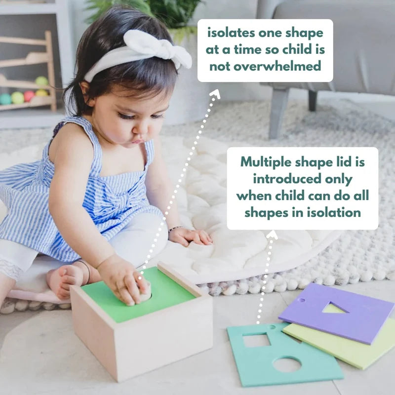 Curious Cub 4- in - 1 Shape Sorter