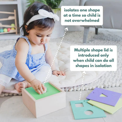 Curious Cub 4- in - 1 Shape Sorter