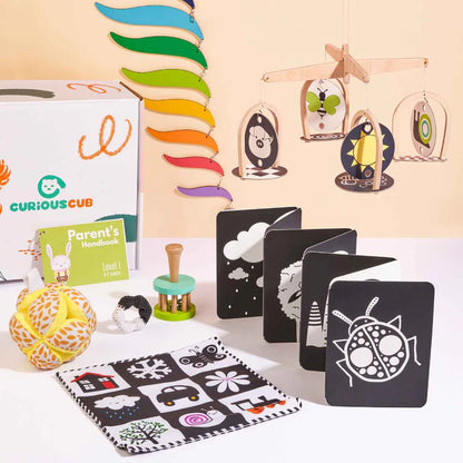 Curious Cub Montessori Box - 0 Months + (Level- 1)