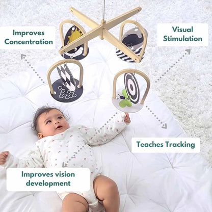 Curious Cub Montessori Box - 0 Months + (Level- 1)