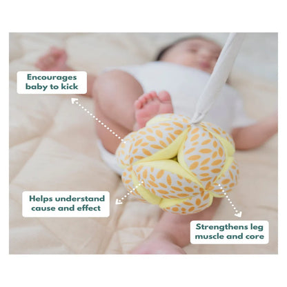 Curious Cub Montessori Box - 0 Months + (Level- 1)