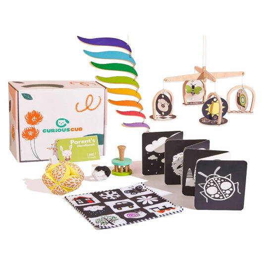 Curious Cub Montessori Box - 0 Months + (Level- 1)