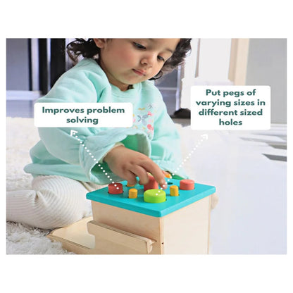 Curious Cub Montessori Box - 2 Years 6 Months + (Level- 13)
