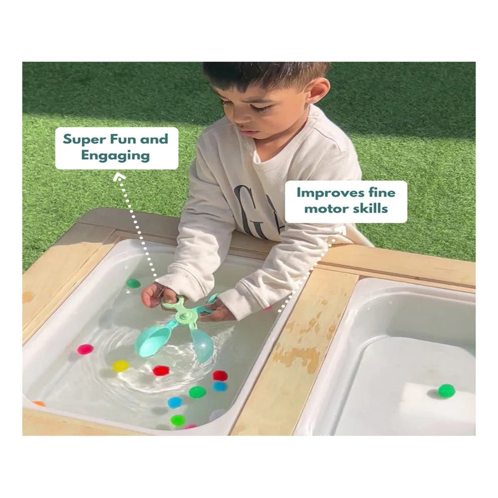 Curious Cub Montessori Box- 2 Years 9 Months + (Level- 14)