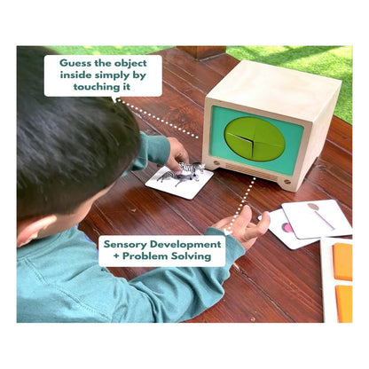 Curious Cub Montessori Box- 2 Years 9 Months + (Level- 14)