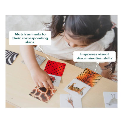 Curious Cub Montessori Box- 2 Years 9 Months + (Level- 14)