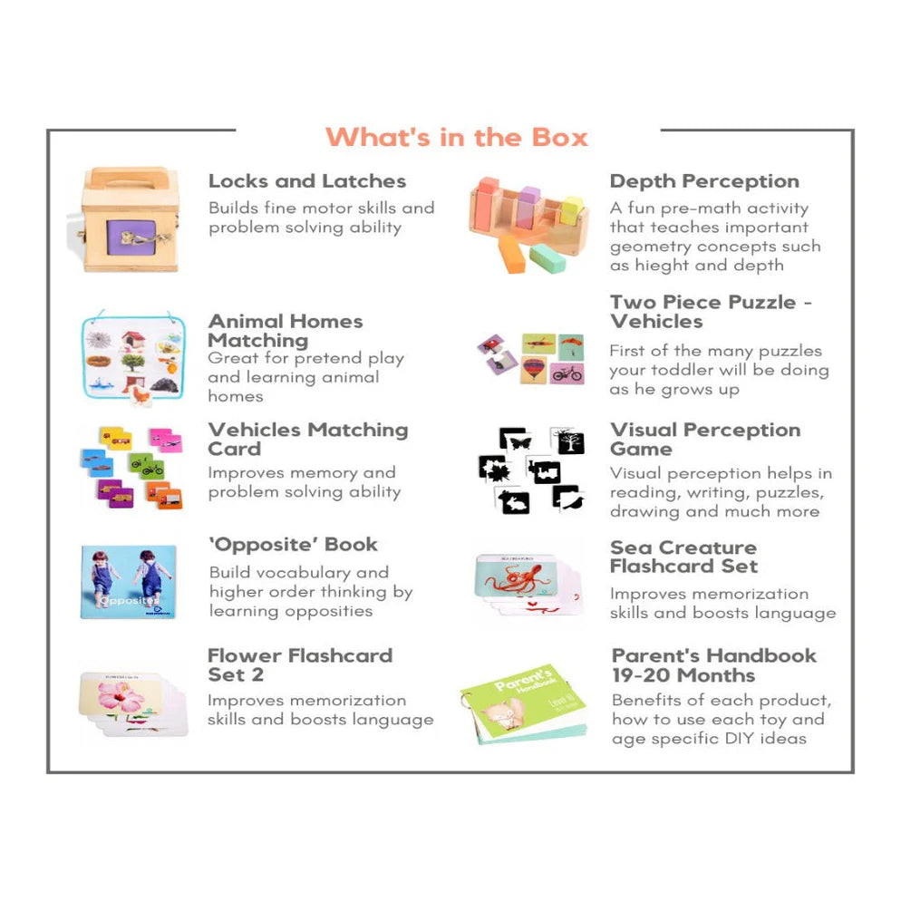 Curious Cub Montessori Box- 21 Months + (Level- 10)