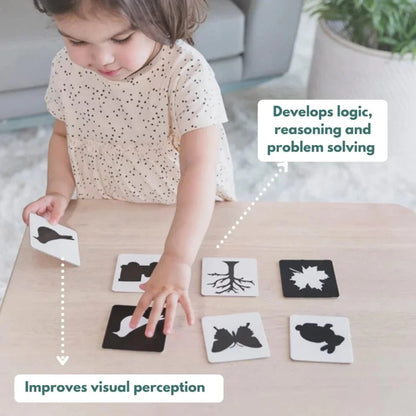 Curious Cub Montessori Box- 21 Months + (Level- 10)