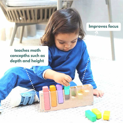 Curious Cub Montessori Box- 21 Months + (Level- 10)