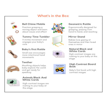 Curious Cub Montessori Box- 3 Months + (Level- 2)