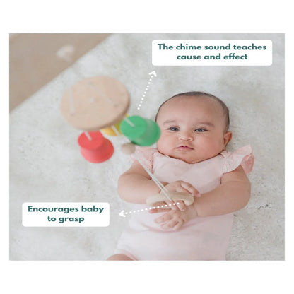 Curious Cub Montessori Box- 3 Months + (Level- 2)