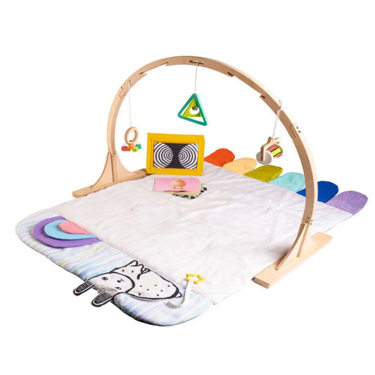Curious Cub Play Gym