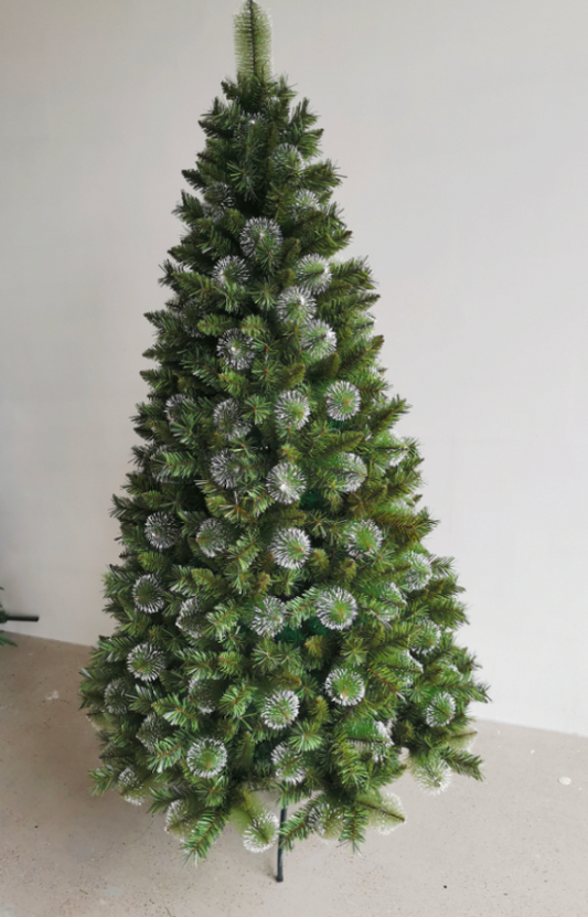 Scotch Pine Christmas tree