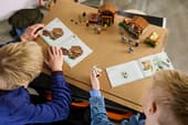LEGO 21596 Evoker Village Attack – Minecraft Building Set,
