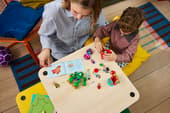 LEGO Classic 11211 Creative Building Box –
