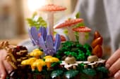 LEGO Botanicals 11505 Woodland Mushrooms – Nature-Inspired Home Décor Building Set, 806 Pieces