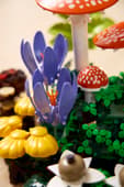 LEGO Botanicals 11505 Woodland Mushrooms – Nature-Inspired Home Décor Building Set, 806 Pieces