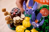 LEGO Botanicals 11505 Woodland Mushrooms – Nature-Inspired Home Décor Building Set, 806 Pieces