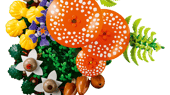 LEGO Botanicals 11505 Woodland Mushrooms – Nature-Inspired Home Décor Building Set, 806 Pieces
