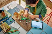 LEGO Creator 3-in-1 31386 Wild Animals: Majestic Lion