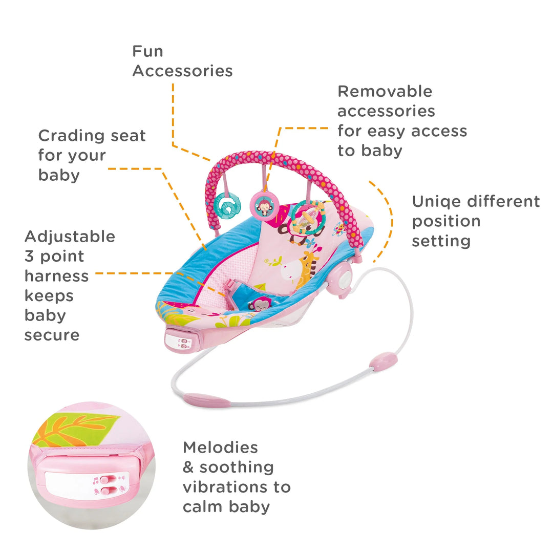 Mastela Music Vibrations Bouncer  (3 months to 12 months)