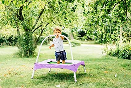 Plum Junior Bouncer With Handle