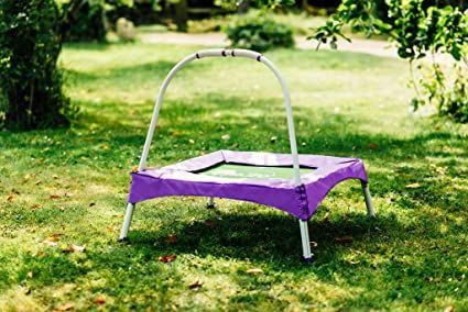 Plum Junior Bouncer With Handle