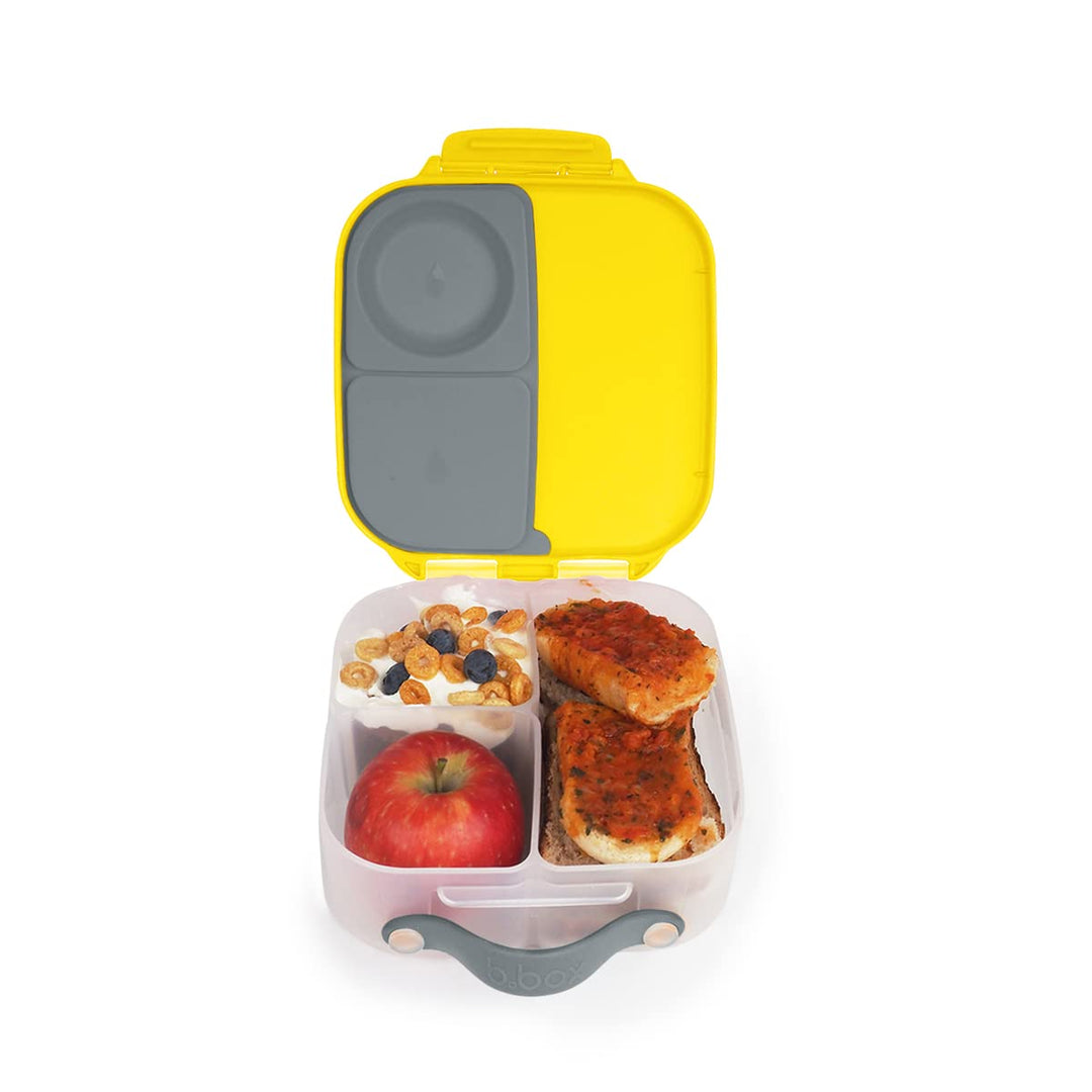 Mini Lunchbox